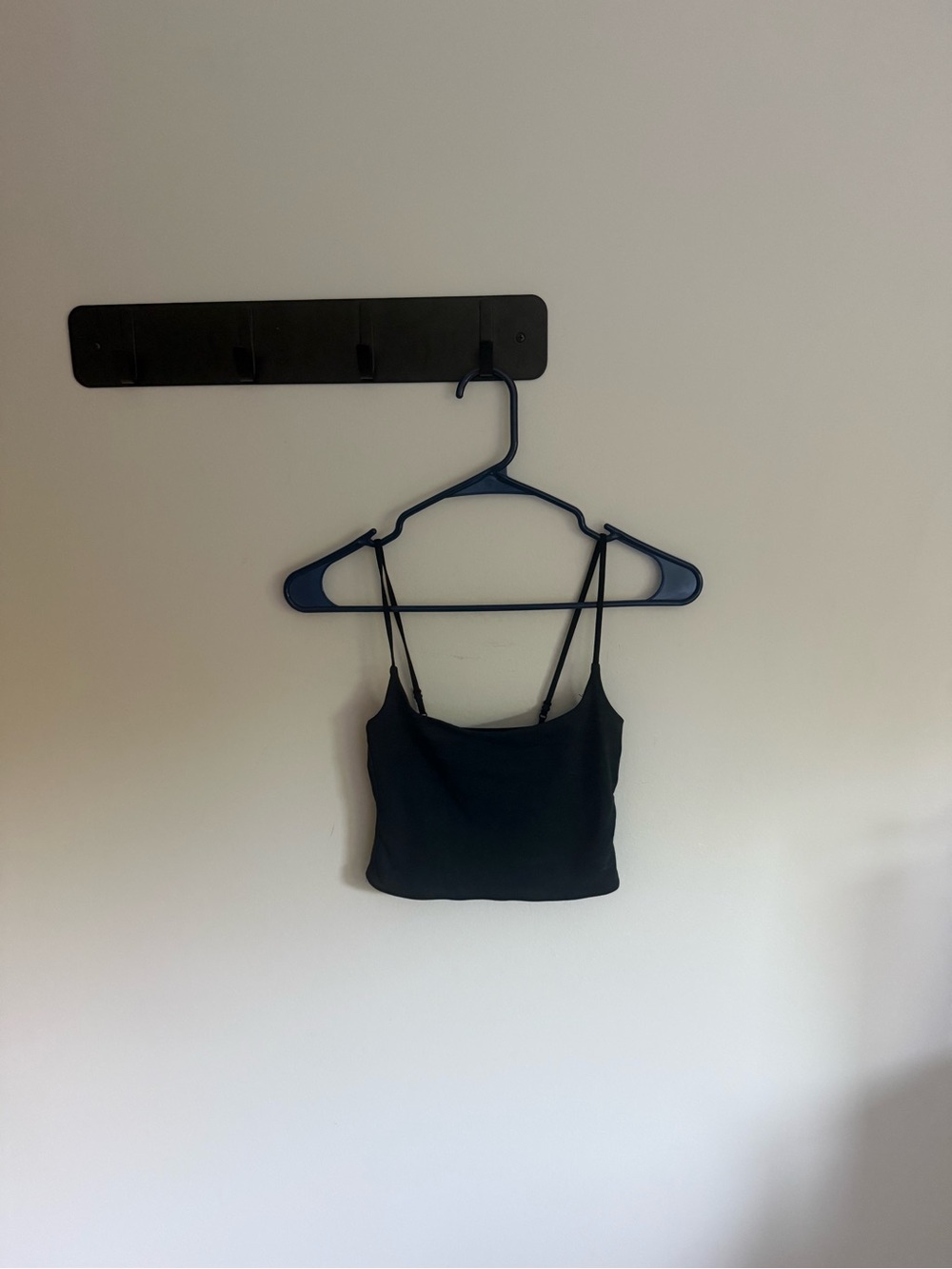 Aritzia Babaton Countour Cropped Tank